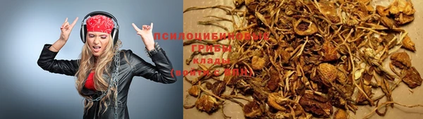 крисы Алексин