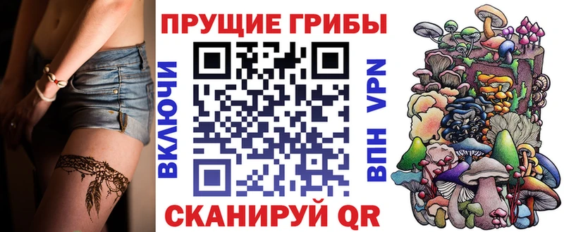 Галлюциногенные грибы Cubensis Западная Двина